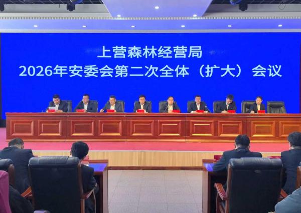 1776131180561177.jpg 2.jpg